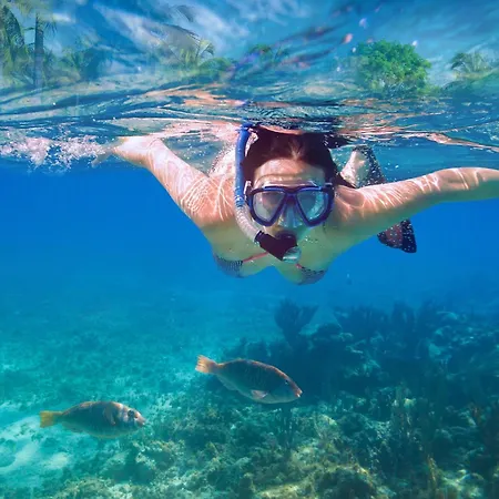 Lovely Hideaway With Pool And White Appartement